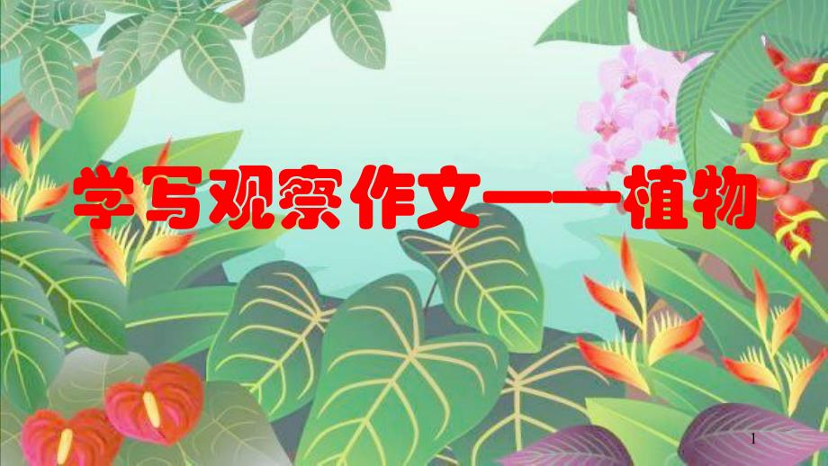 人教版小学语文四年级上册《习作学写观察作文——植物》课件_第1页