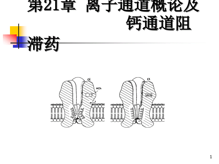 离子通道概论及钙通道阻滞药课件_第1页