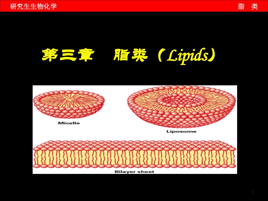 第三章脂类课件_第1页