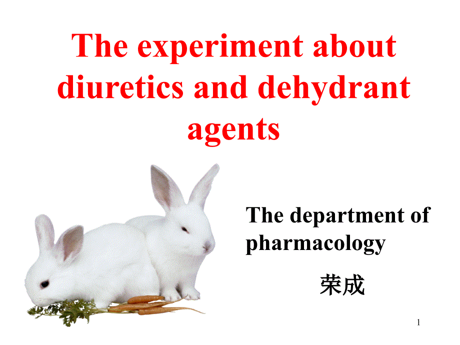 实验6-利尿药与脱水药实验ppt课件_第1页