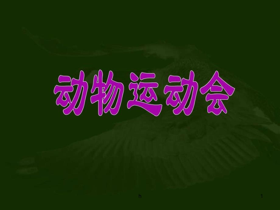 《动物运动会》课件_第1页