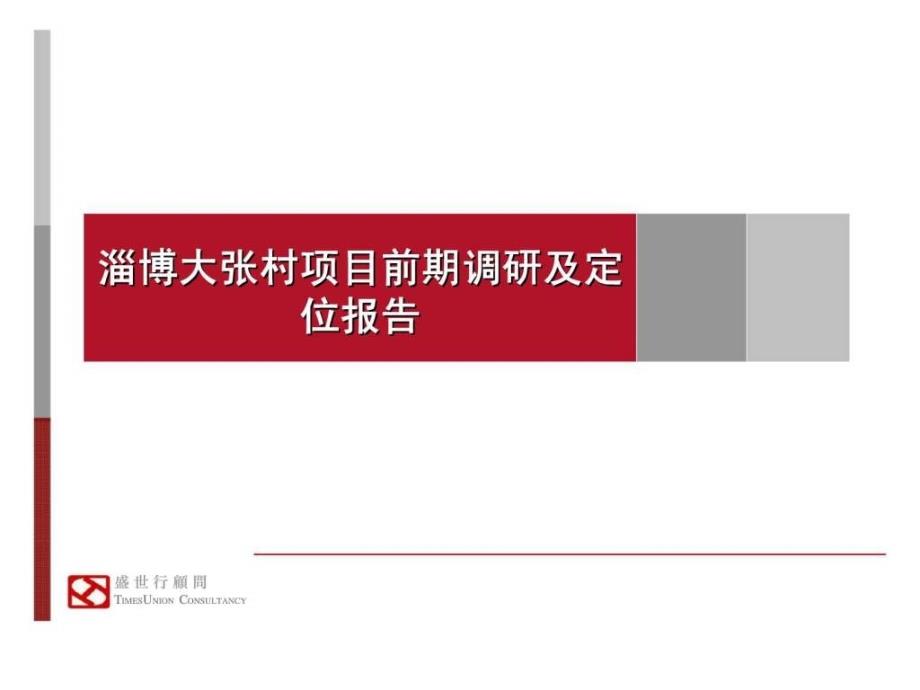 淄博大张村项目前期调研及定位报告_第1页