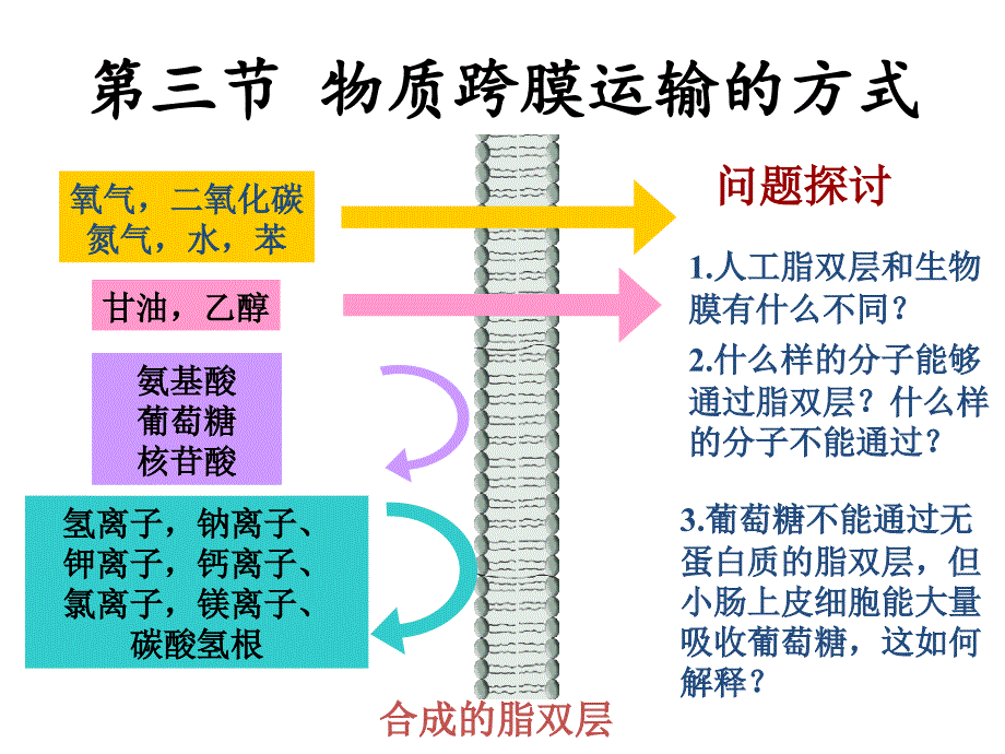 物质跨膜运输的方式课件_第1页