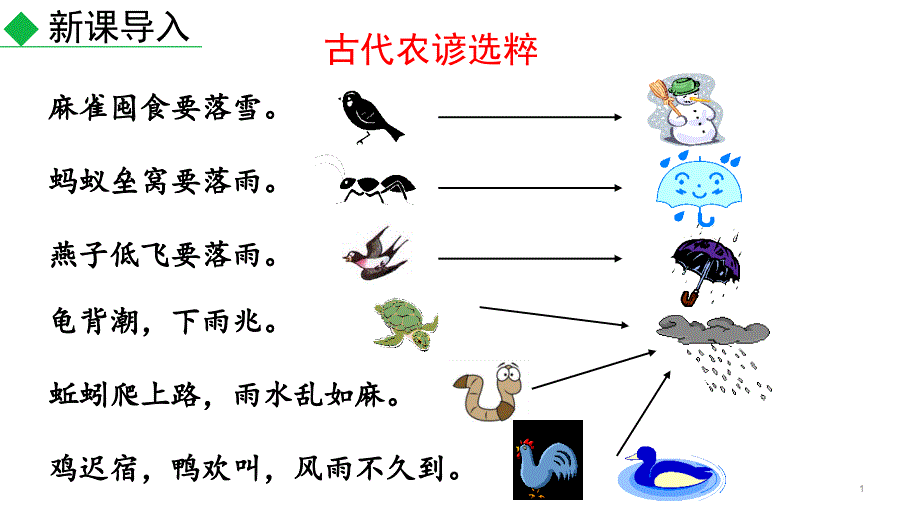 《大自然的语言》完美ppt课件部编版_第1页