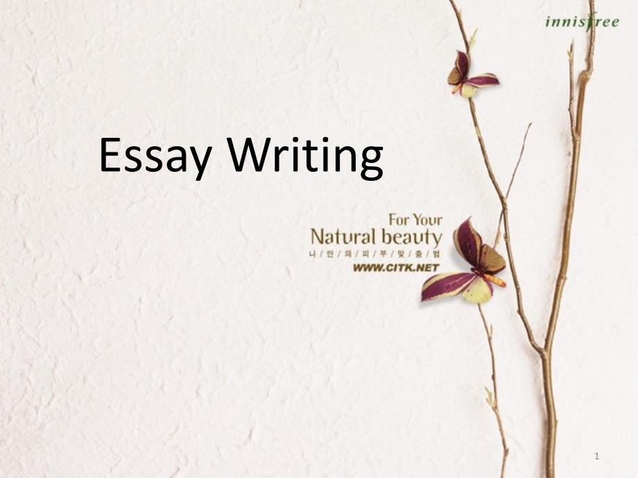 essay-writing-英文写作ppt课件_第1页