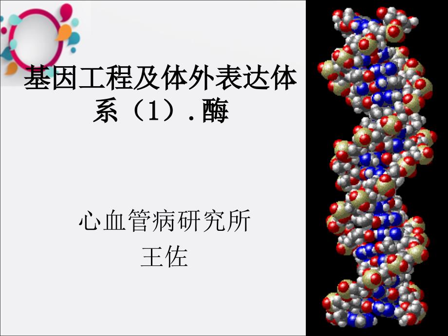 《基因克隆》课件_第1页