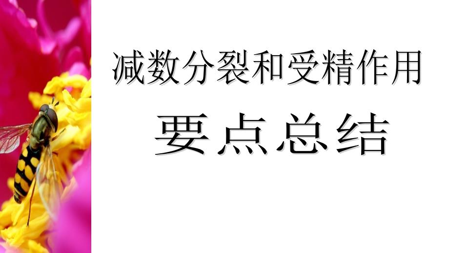 高中生物必修二减数分裂复习ppt课件_第1页