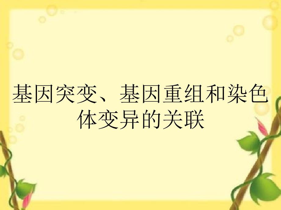 基因突变、基因重组和染色体变异的关联课件_第1页