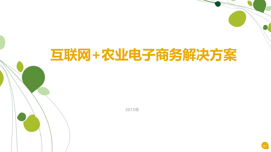 XX互联网+农业电子商务解决方案课件_第1页