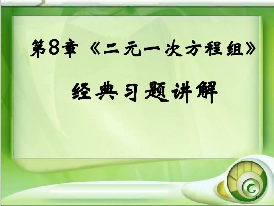 二元一次方程组经典习题讲解课件_第1页