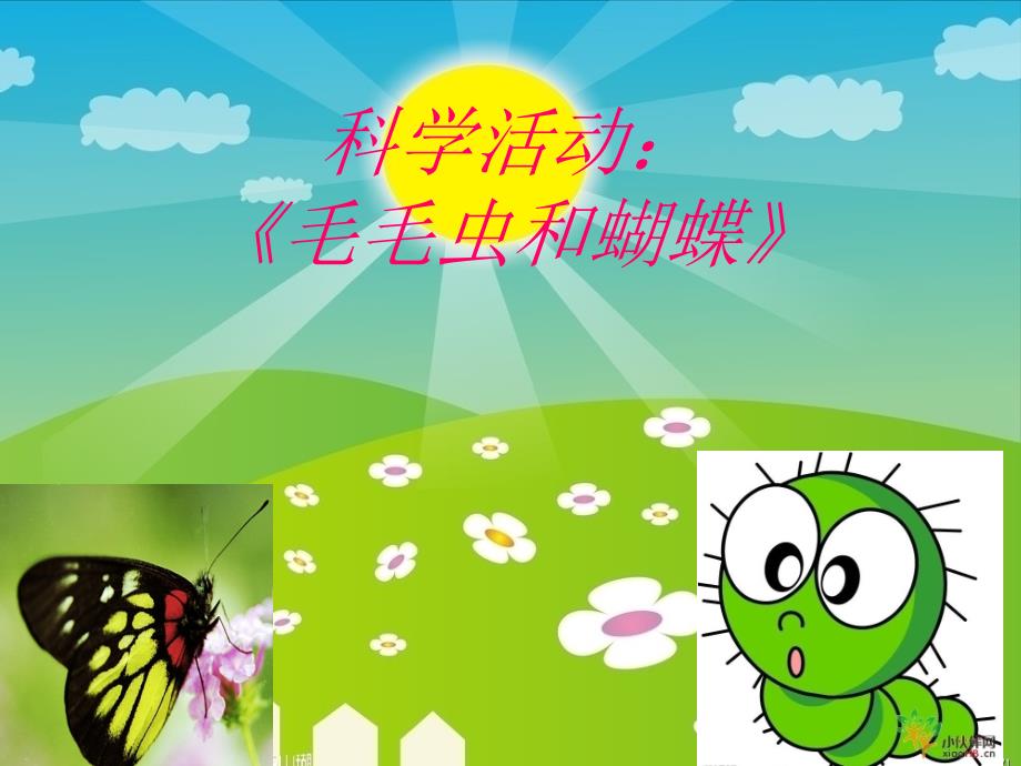 中班科学活动_毛毛虫和蝴蝶ppt课件_第1页