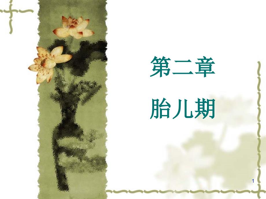 《人体发育学》第二章胎儿期(胎儿期的发育规律)-课件_第1页