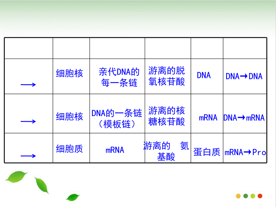 基因表达与性状的关系完美ppt课件_第1页