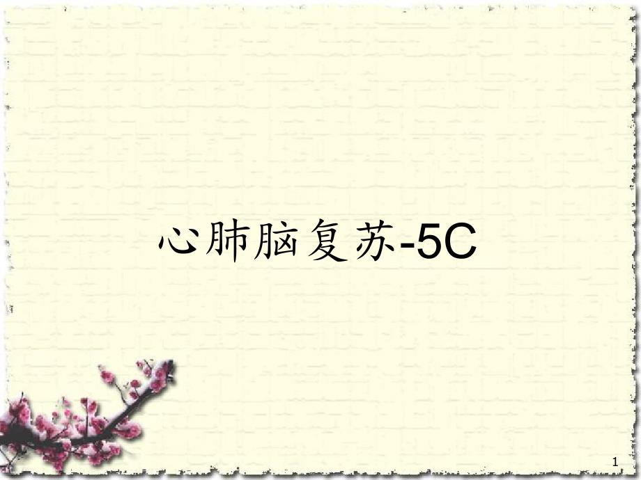 心肺脑复苏5Cppt课件_第1页