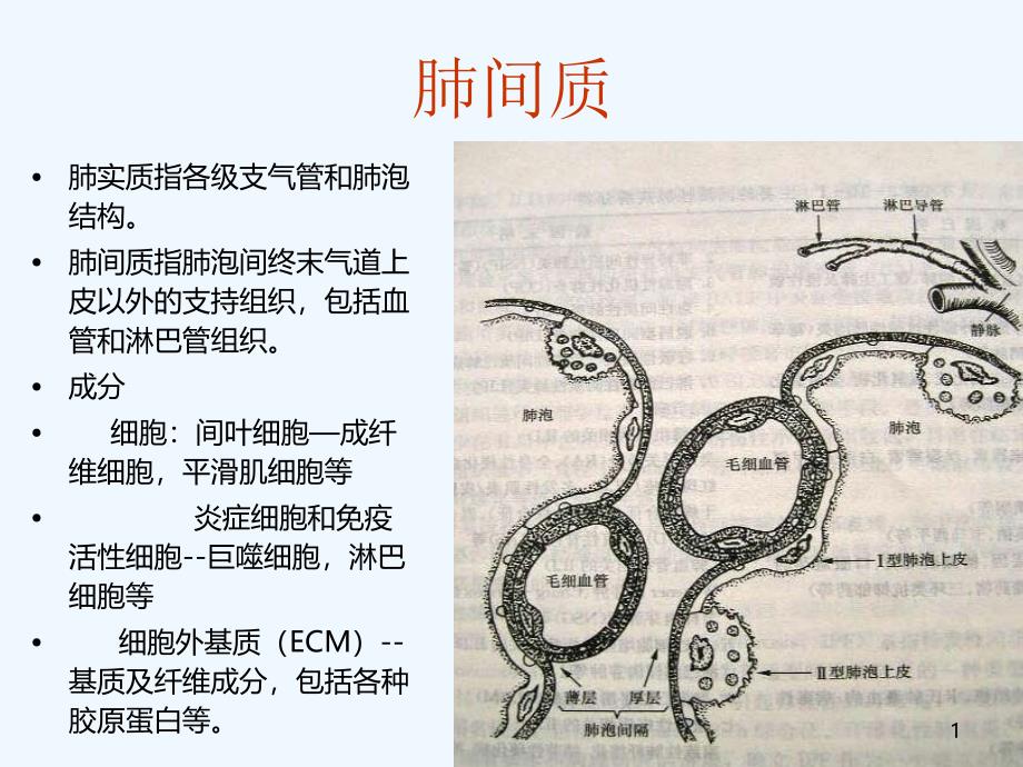 间质性肺疾病的治疗与护理课件_第1页