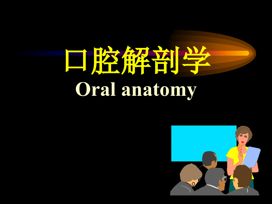 口腔解剖学课件_第1页