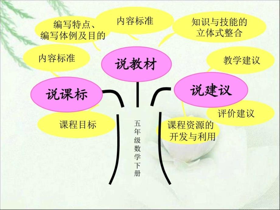 苏教版五年级数学下册说课标说教材_第1页