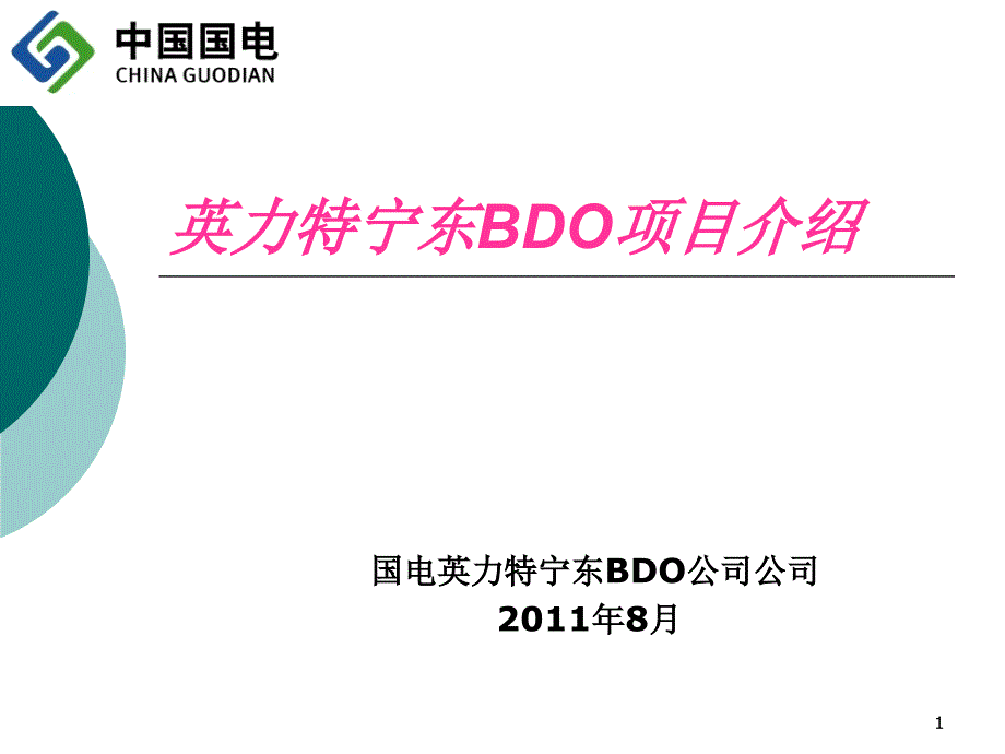 BDO项目介绍解析ppt课件_第1页