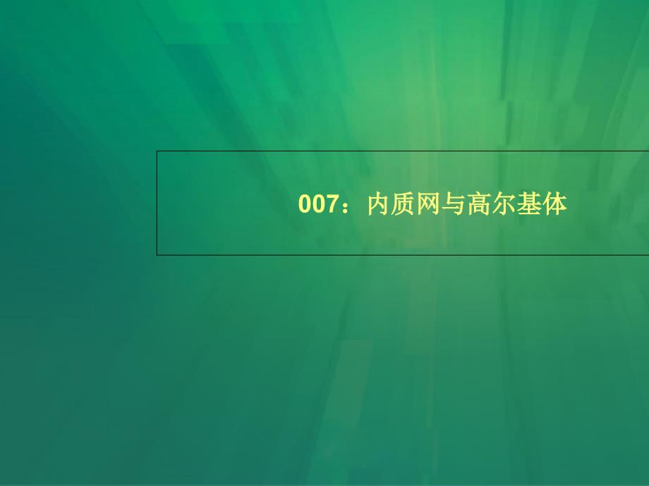 内质网与高尔基体ppt课件_第1页