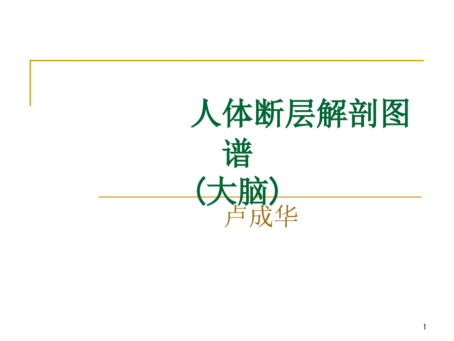 人体断层解剖图谱大脑ppt课件_第1页