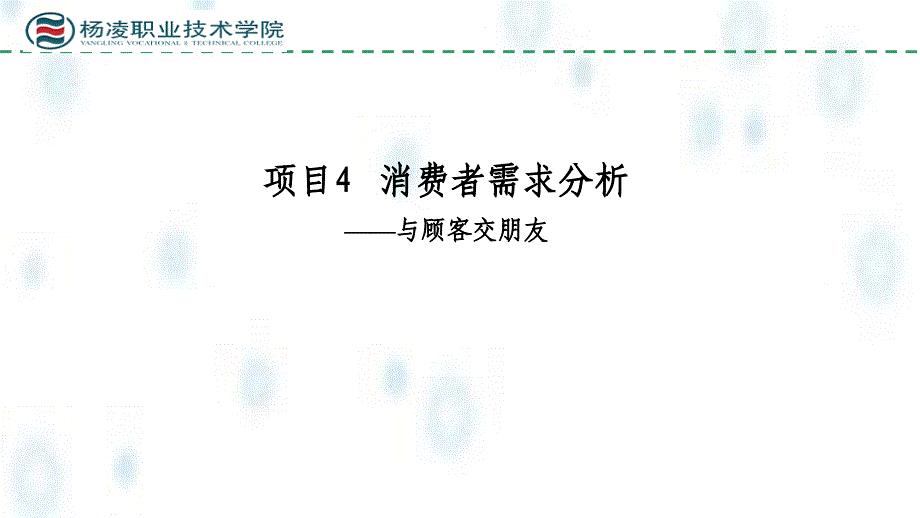 市场营销实务ppt课件项目4消费者行为与消费者需求分析_第1页