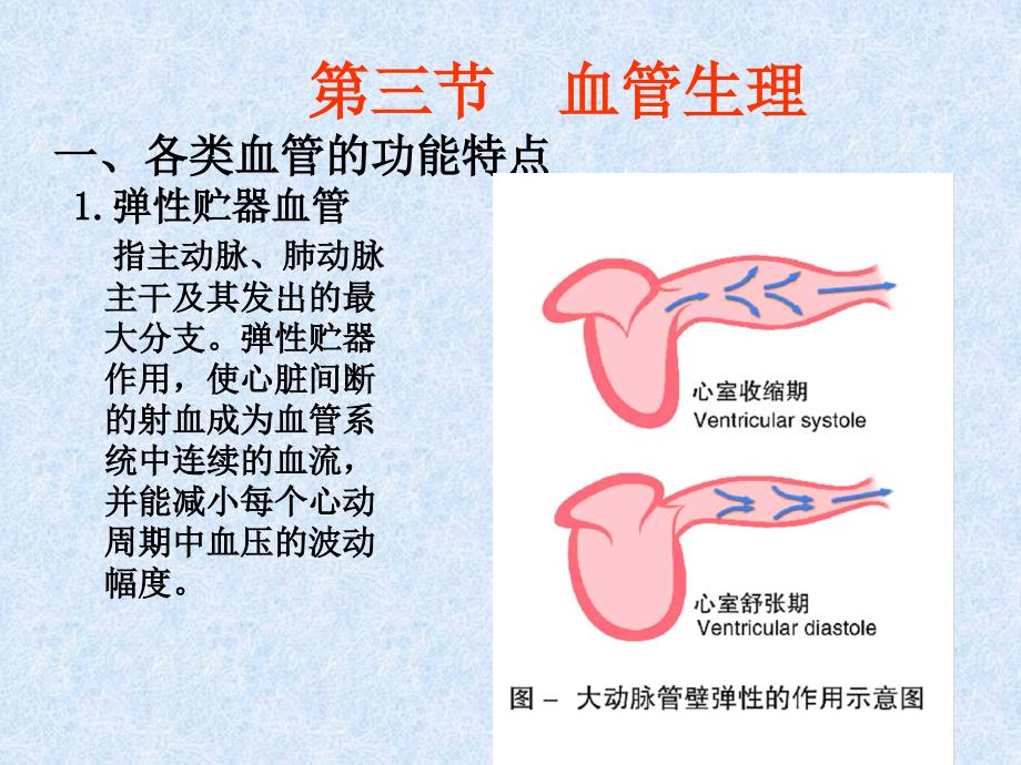 《血管生理》课件_第1页