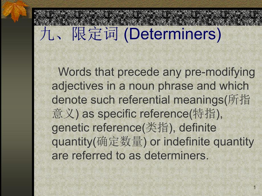 九限定词Determiners-课件_第1页