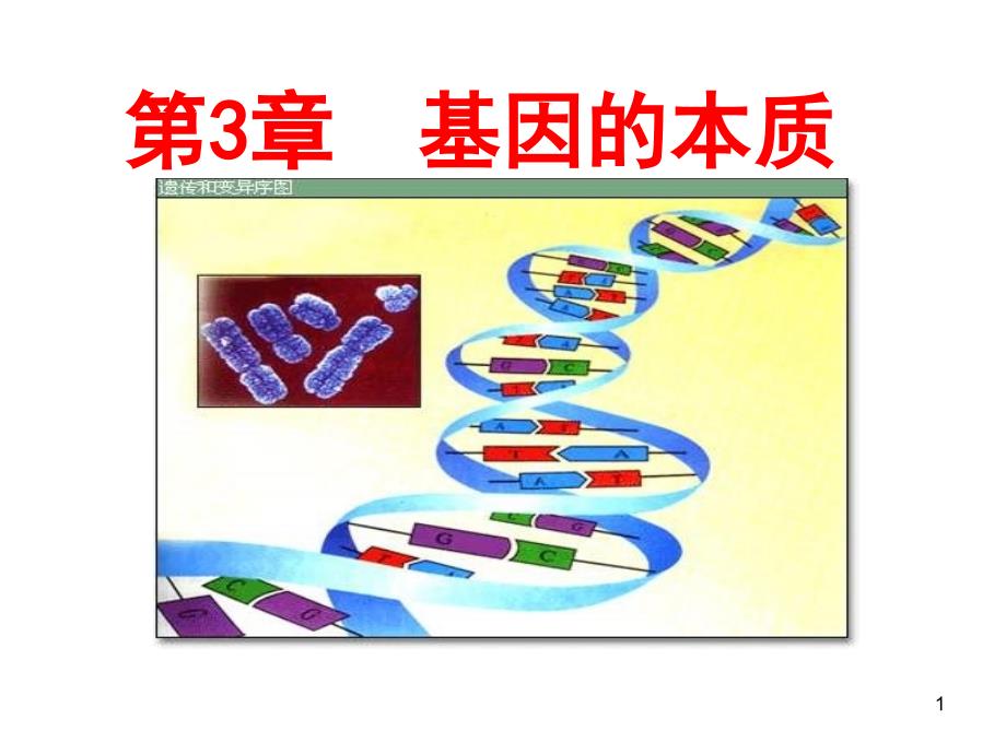 基因的本质ppt课件_第1页