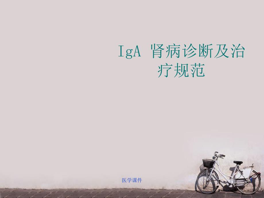 IgA肾病诊断及治疗--课件_第1页