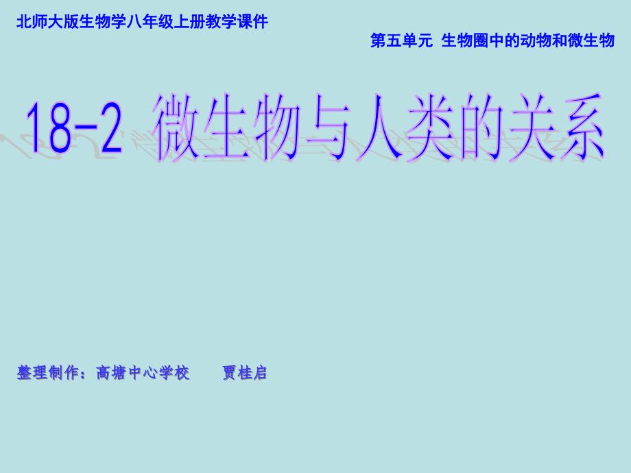 微生物与人类的关系(整一课时)课件_第1页