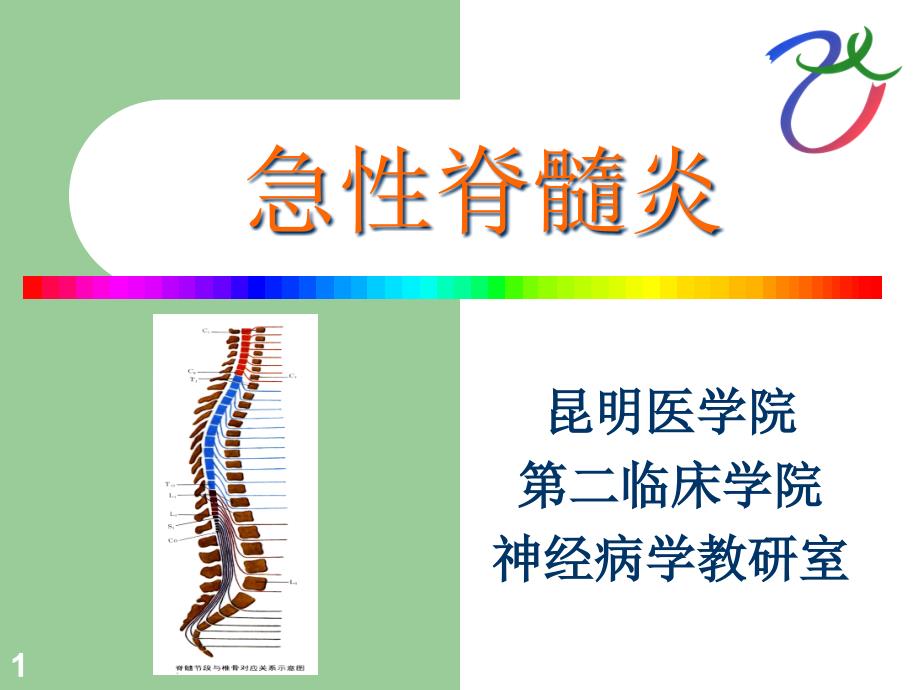 急性脊髓炎-课件_第1页