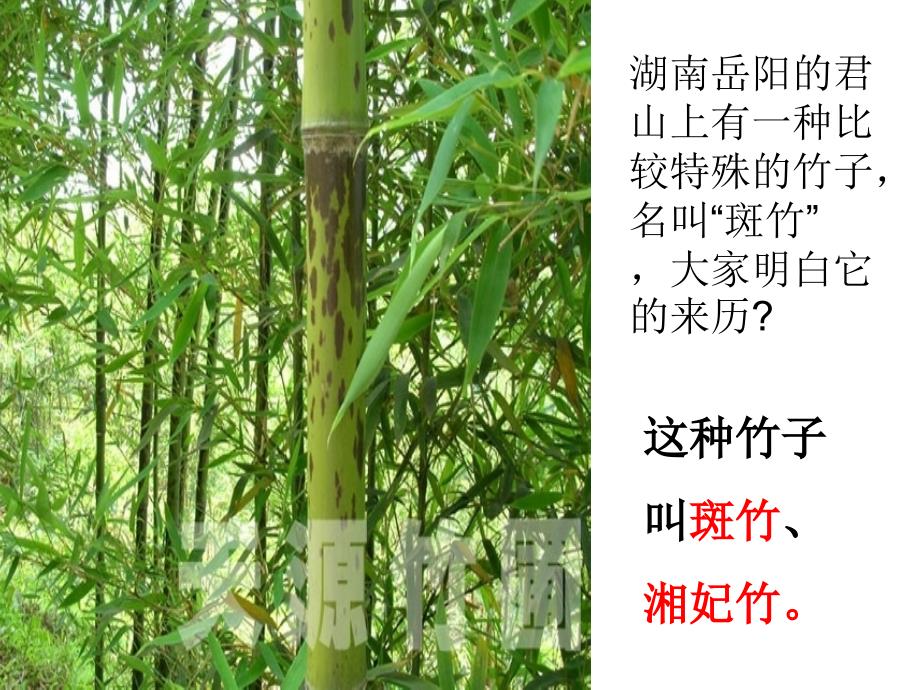 《湘夫人》优质课件_第1页