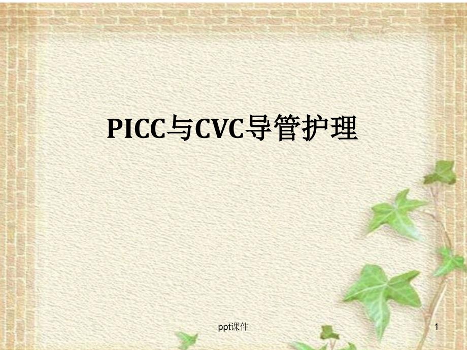 PICC与CVC的导管护理--课件_第1页