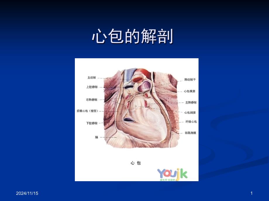 心包疾病大课ppt课件_第1页