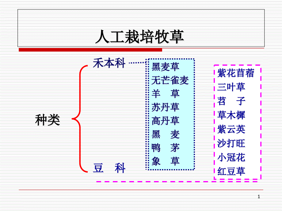 常见栽培牧草课件_第1页