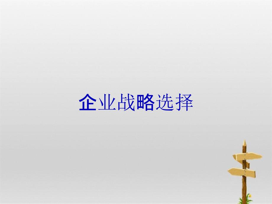 企业战略选择ppt课件_第1页