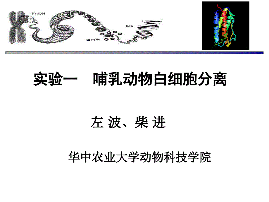 不同畜禽血样采集哺乳动物白细胞分离重点ppt课件_第1页