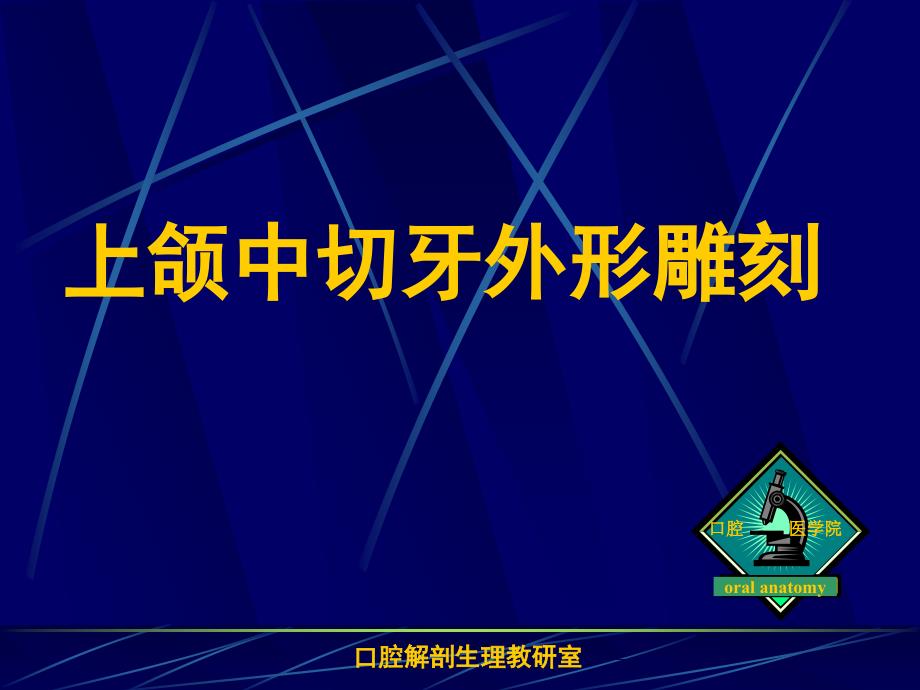 口腔解剖生理教研室汇总ppt课件_第1页