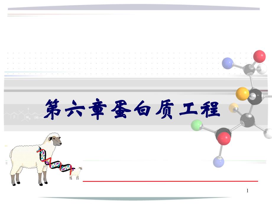 蛋白质工程ppt课件_第1页