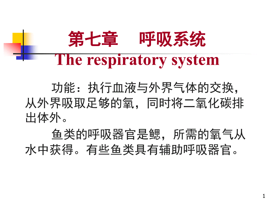 鱼类的呼吸系统解析ppt课件_第1页