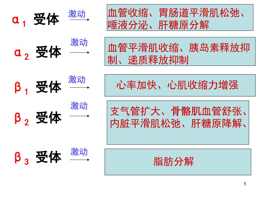 α激动药、β--激动药指导ppt课件_第1页