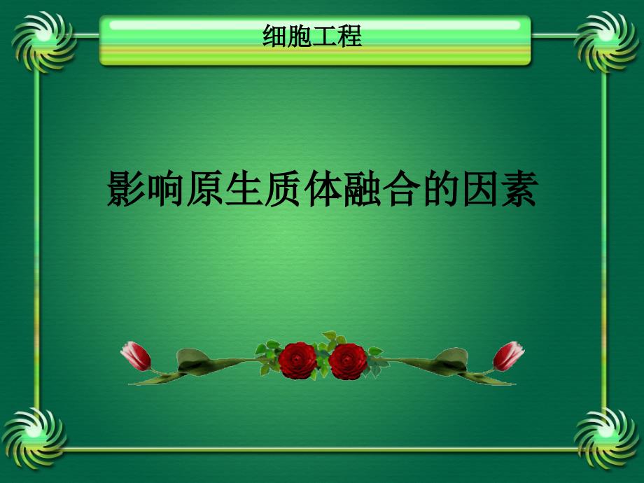 影响原生质体融合的因素_第1页