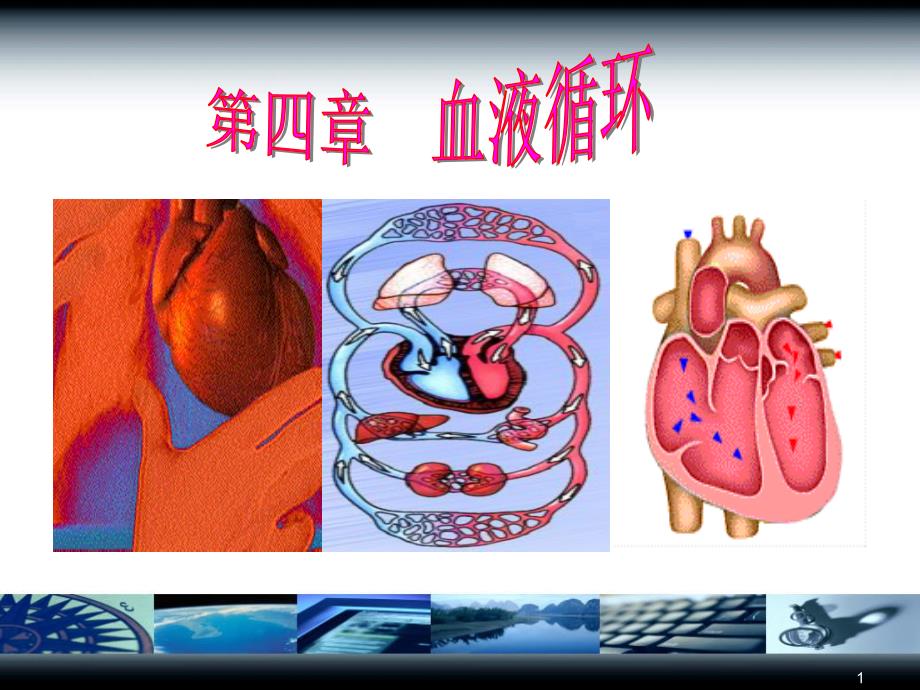 心脏电生理特性ppt课件_第1页