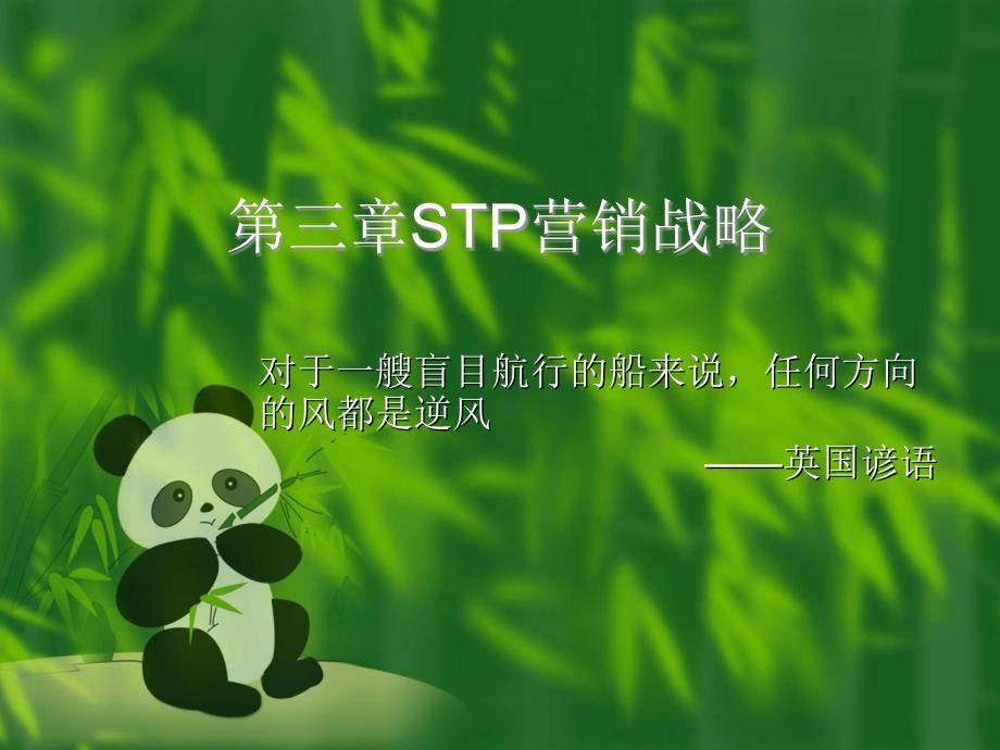 STP营销战略分析报告ppt课件_第1页