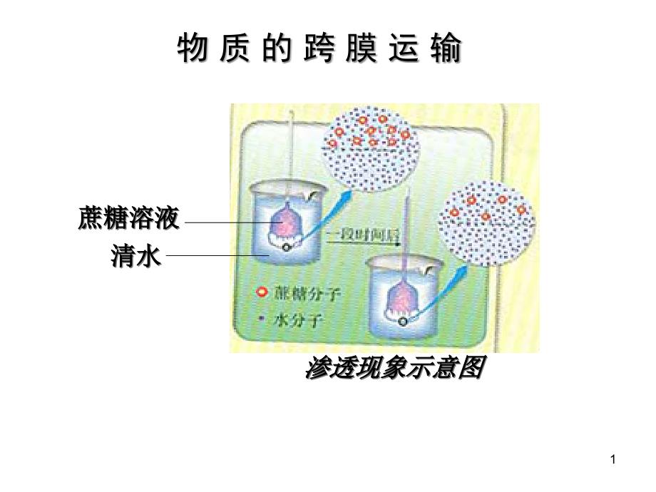 第1节物质跨膜运输的实例ppt课件_第1页