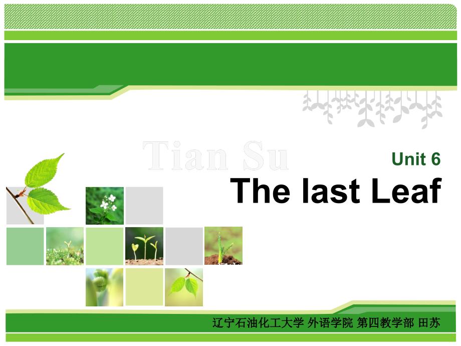 全新版大学英语第三册unit-6-The-last-leaf_第1页