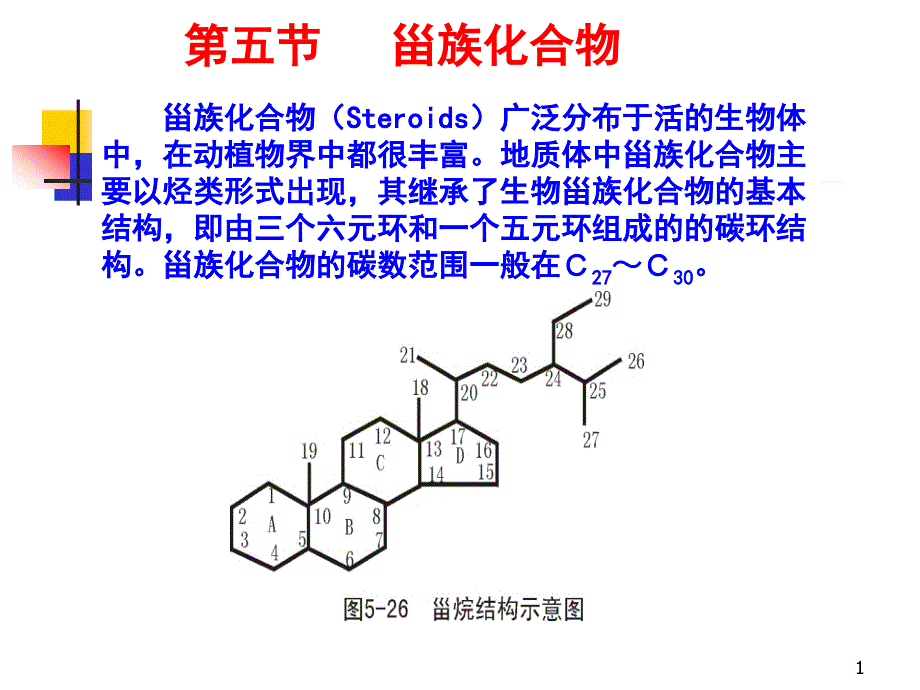 地球化学第四章生物标志物ppt课件_第1页