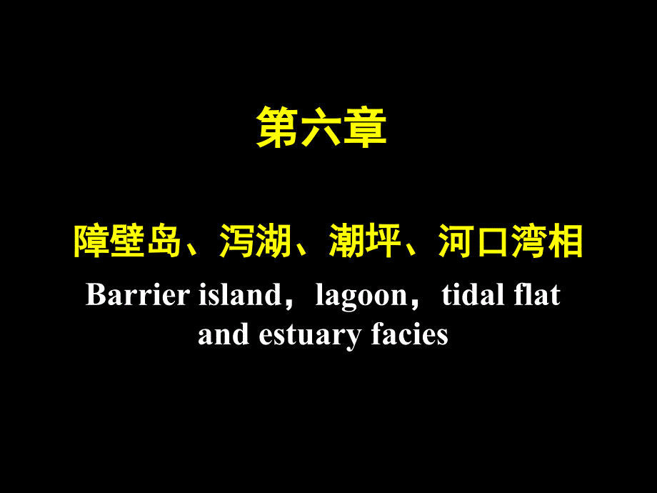 第六章障壁岛ppt课件_第1页