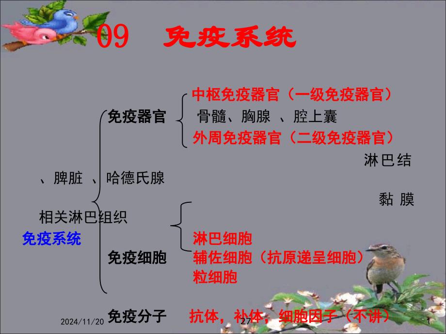 解剖生理ppt课件——免疫系统汇总_第1页