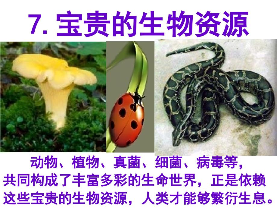 宝贵的生物资源ppt课件_第1页